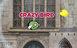 CrazyBirdCity: en üst düzey atari deneyimi